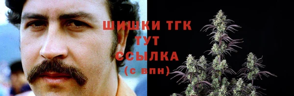 mdpv Горняк