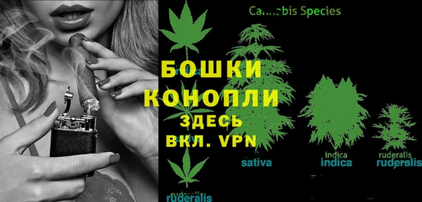 спайс Горнозаводск