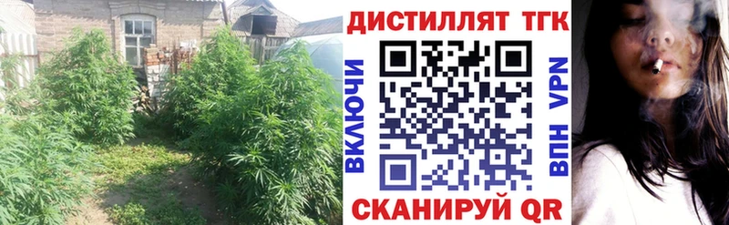 Купить  Грязовец  Дистиллят ТГК гашишное масло 